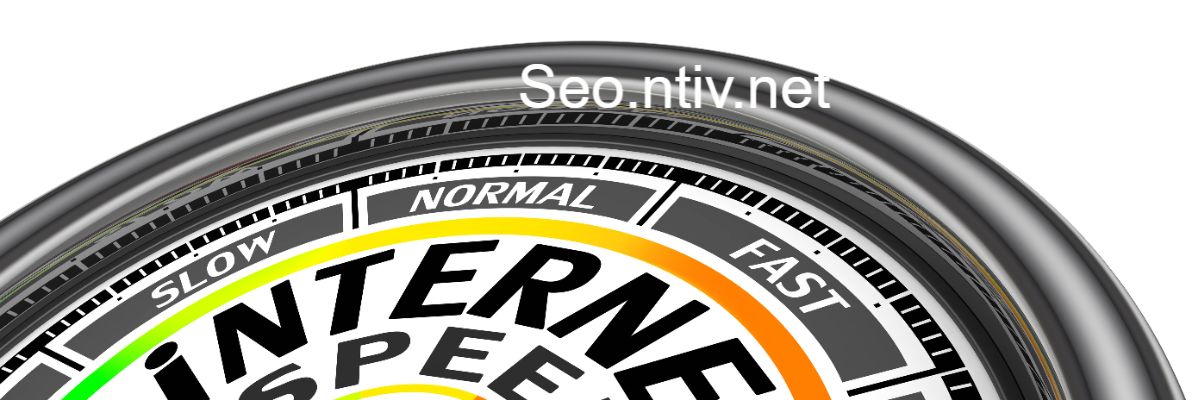 seo.ntiv.net